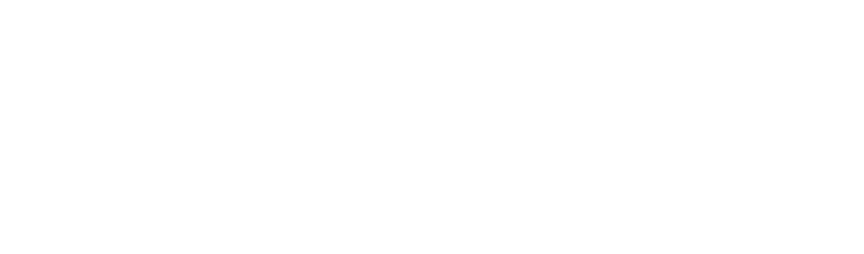 Tic Bali Logo
